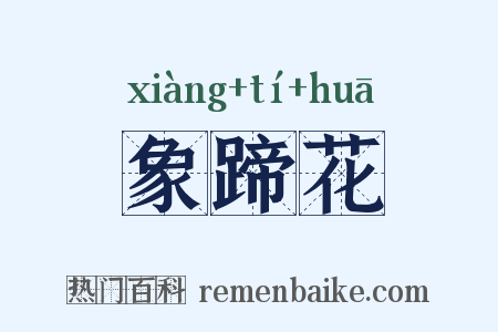 象蹄花是什么意思的图片